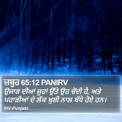 ਜ਼ਬੂਰ 65:12 PANIRV Bible Verse Image