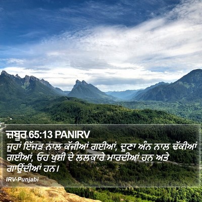 ਜ਼ਬੂਰ 65:13 PANIRV Bible Verse Image