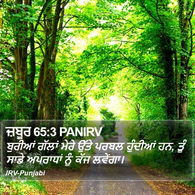 ਜ਼ਬੂਰ 65:3 PANIRV Bible Verse Image