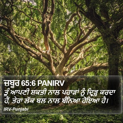 ਜ਼ਬੂਰ 65:6 PANIRV Bible Verse Image