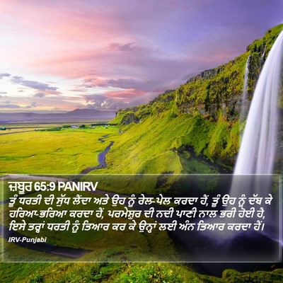 ਜ਼ਬੂਰ 65:9 PANIRV Bible Verse Image