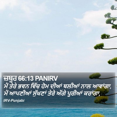ਜ਼ਬੂਰ 66:13 PANIRV Bible Verse Image