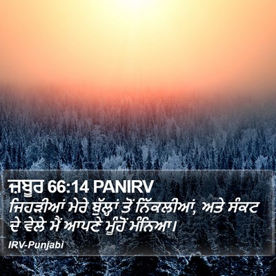 ਜ਼ਬੂਰ 66:14 PANIRV Bible Verse Image
