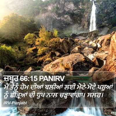 ਜ਼ਬੂਰ 66:15 PANIRV Bible Verse Image