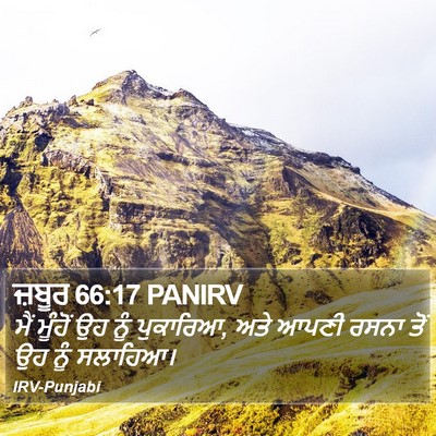 ਜ਼ਬੂਰ 66:17 PANIRV Bible Verse Image