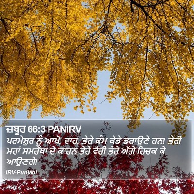 ਜ਼ਬੂਰ 66:3 PANIRV Bible Verse Image