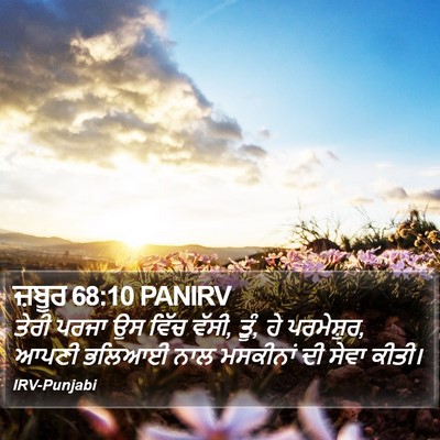 ਜ਼ਬੂਰ 68:10 PANIRV Bible Verse Image