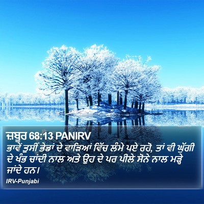 ਜ਼ਬੂਰ 68:13 PANIRV Bible Verse Image