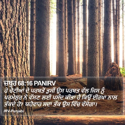 ਜ਼ਬੂਰ 68:16 PANIRV Bible Verse Image