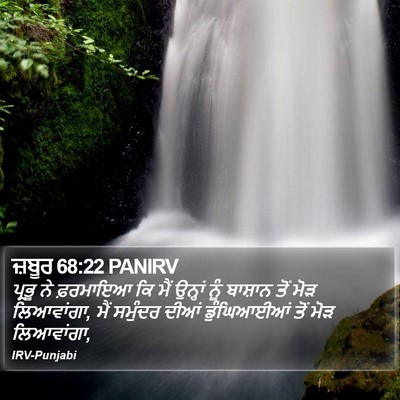 ਜ਼ਬੂਰ 68:22 PANIRV Bible Verse Image