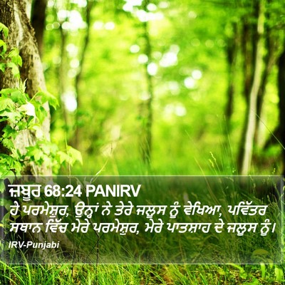 ਜ਼ਬੂਰ 68:24 PANIRV Bible Verse Image