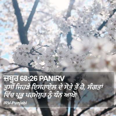ਜ਼ਬੂਰ 68:26 PANIRV Bible Verse Image