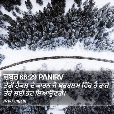 ਜ਼ਬੂਰ 68:29 PANIRV Bible Verse Image