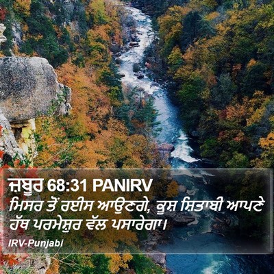 ਜ਼ਬੂਰ 68:31 PANIRV Bible Verse Image