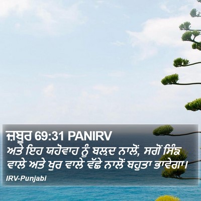 ਜ਼ਬੂਰ 69:31 PANIRV Bible Verse Image