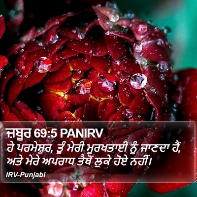 ਜ਼ਬੂਰ 69:5 PANIRV Bible Verse Image