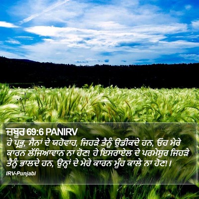 ਜ਼ਬੂਰ 69:6 PANIRV Bible Verse Image