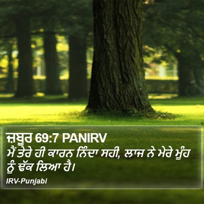 ਜ਼ਬੂਰ 69:7 PANIRV Bible Verse Image