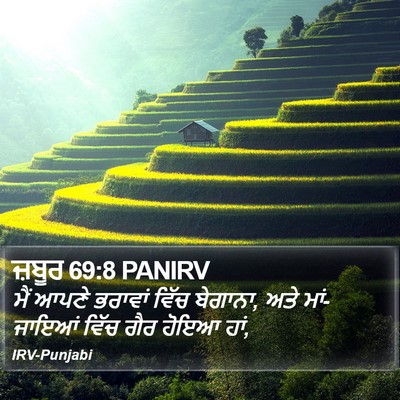 ਜ਼ਬੂਰ 69:8 PANIRV Bible Verse Image