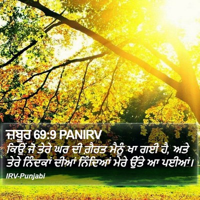 ਜ਼ਬੂਰ 69:9 PANIRV Bible Verse Image