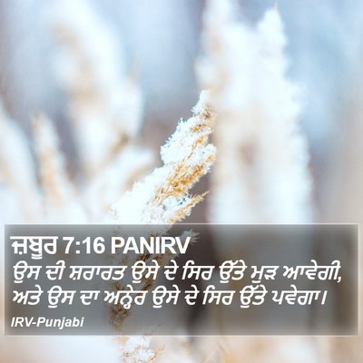 ਜ਼ਬੂਰ 7:16 PANIRV Bible Verse Image