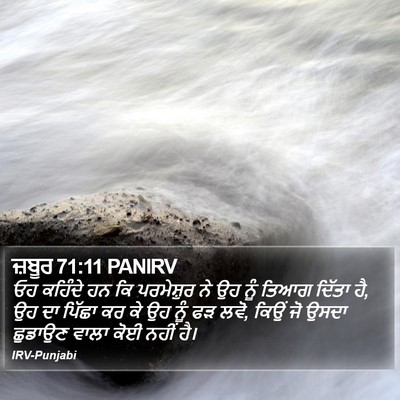 ਜ਼ਬੂਰ 71:11 PANIRV Bible Verse Image