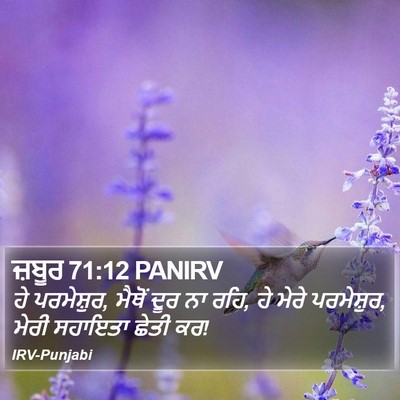 ਜ਼ਬੂਰ 71:12 PANIRV Bible Verse Image