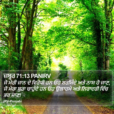 ਜ਼ਬੂਰ 71:13 PANIRV Bible Verse Image
