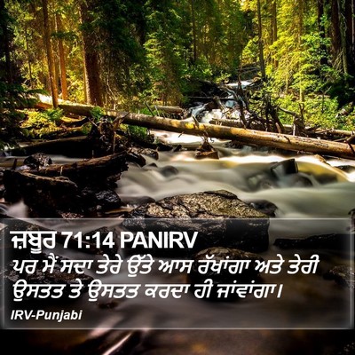 ਜ਼ਬੂਰ 71:14 PANIRV Bible Verse Image