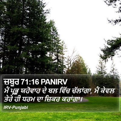 ਜ਼ਬੂਰ 71:16 PANIRV Bible Verse Image