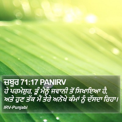 ਜ਼ਬੂਰ 71:17 PANIRV Bible Verse Image