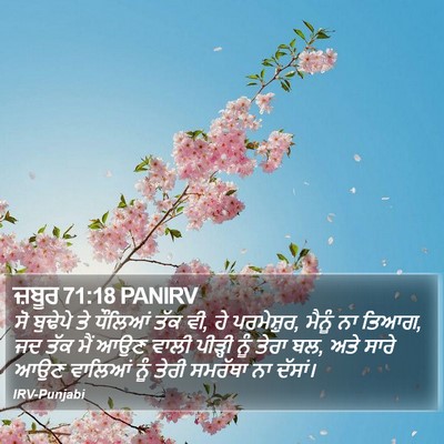 ਜ਼ਬੂਰ 71:18 PANIRV Bible Verse Image