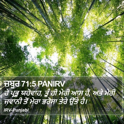 ਜ਼ਬੂਰ 71:5 PANIRV Bible Verse Image