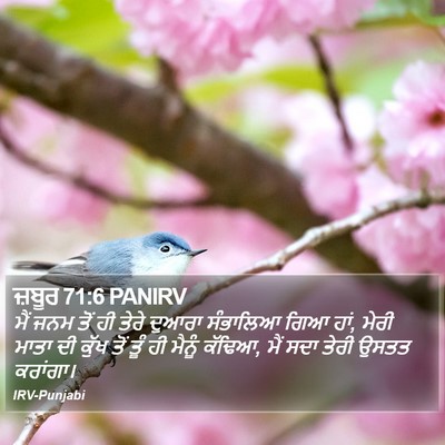 ਜ਼ਬੂਰ 71:6 PANIRV Bible Verse Image