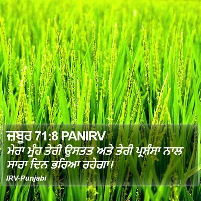 ਜ਼ਬੂਰ 71:8 PANIRV Bible Verse Image