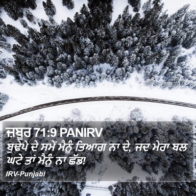 ਜ਼ਬੂਰ 71:9 PANIRV Bible Verse Image