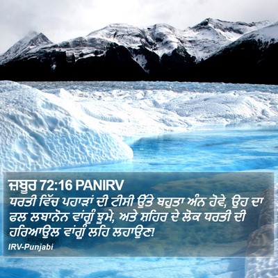 ਜ਼ਬੂਰ 72:16 PANIRV Bible Verse Image