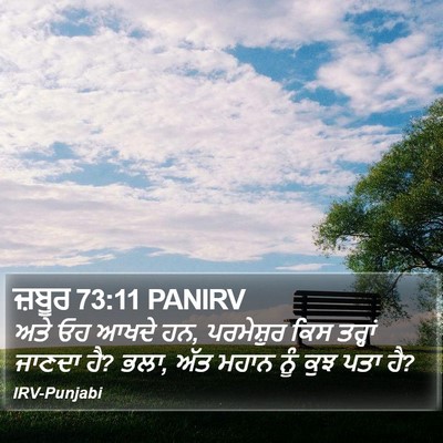 ਜ਼ਬੂਰ 73:11 PANIRV Bible Verse Image