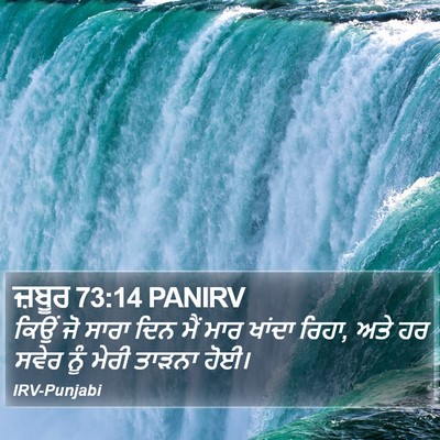ਜ਼ਬੂਰ 73:14 PANIRV Bible Verse Image
