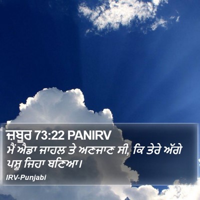 ਜ਼ਬੂਰ 73:22 PANIRV Bible Verse Image