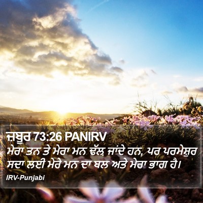 ਜ਼ਬੂਰ 73:26 PANIRV Bible Verse Image