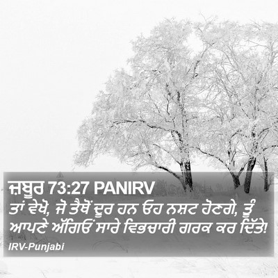 ਜ਼ਬੂਰ 73:27 PANIRV Bible Verse Image