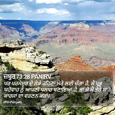 ਜ਼ਬੂਰ 73:28 PANIRV Bible Verse Image