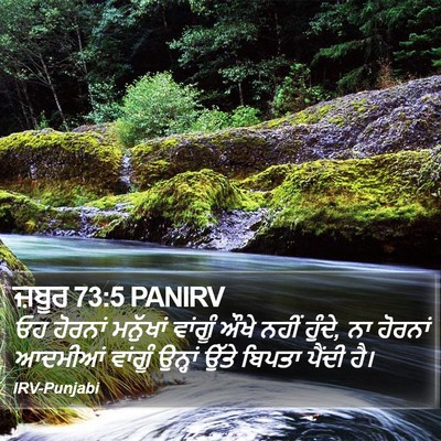 ਜ਼ਬੂਰ 73:5 PANIRV Bible Verse Image