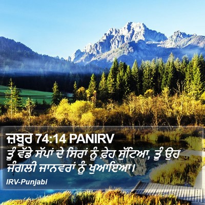 ਜ਼ਬੂਰ 74:14 PANIRV Bible Verse Image