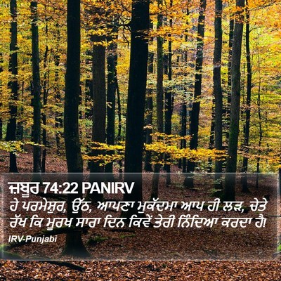 ਜ਼ਬੂਰ 74:22 PANIRV Bible Verse Image