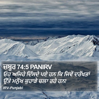 ਜ਼ਬੂਰ 74:5 PANIRV Bible Verse Image