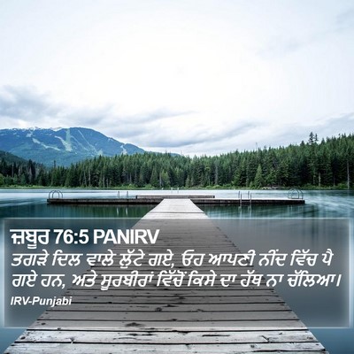 ਜ਼ਬੂਰ 76:5 PANIRV Bible Verse Image