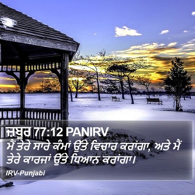 ਜ਼ਬੂਰ 77:12 PANIRV Bible Verse Image