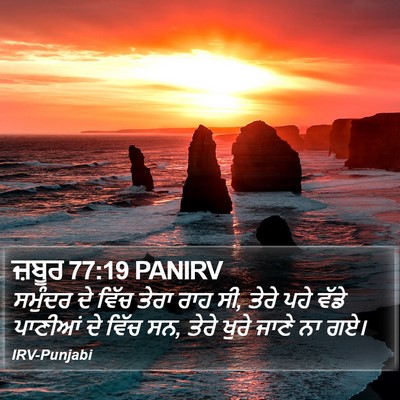 ਜ਼ਬੂਰ 77:19 PANIRV Bible Verse Image